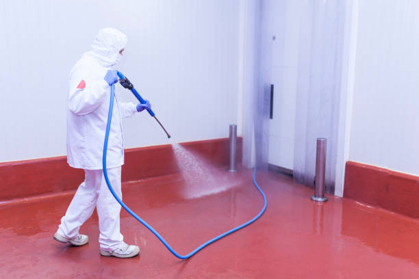Best Fleet Vehicle Washing  in Cusseta, GA