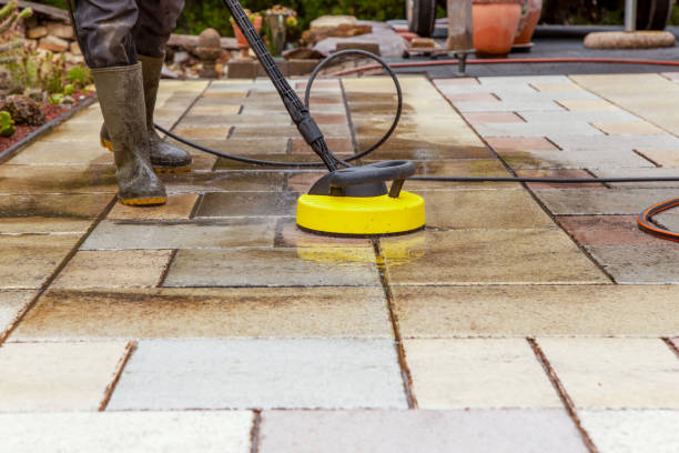 Animal Enclosure Cleaning in Cusseta, GA