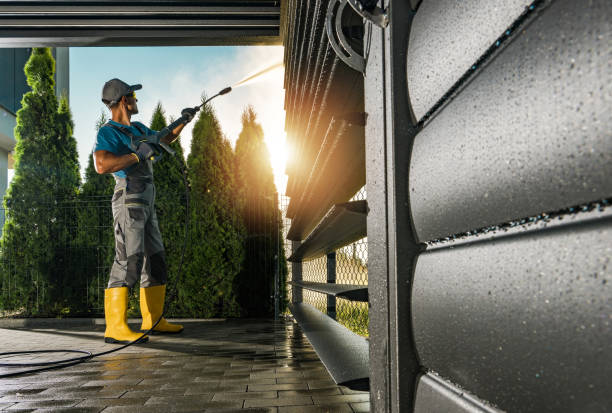 Best Soft Washing  in Cusseta, GA