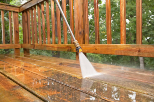 Best Animal Enclosure Cleaning  in Cusseta, GA
